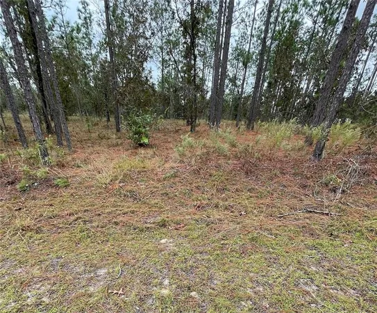 $9,000 | Southeast 133rd Avenue, Dunnellon, FL 34431