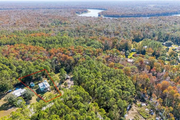 a view of a houses with a lush green forest