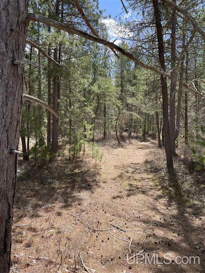 121 West Gordon Road Marquette, MI 49855 - Photo 1 of 14