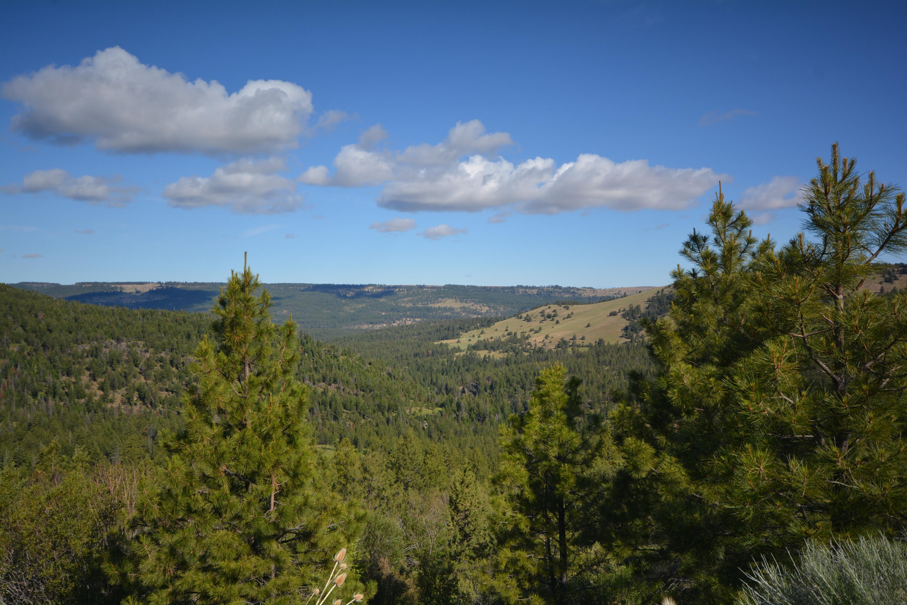 N/a Lonerock Road Fossil, OR 97830 - Photo 68 of 69 scenic views oregon wineland lake huntin