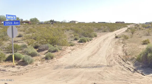 a view of a dry yard
