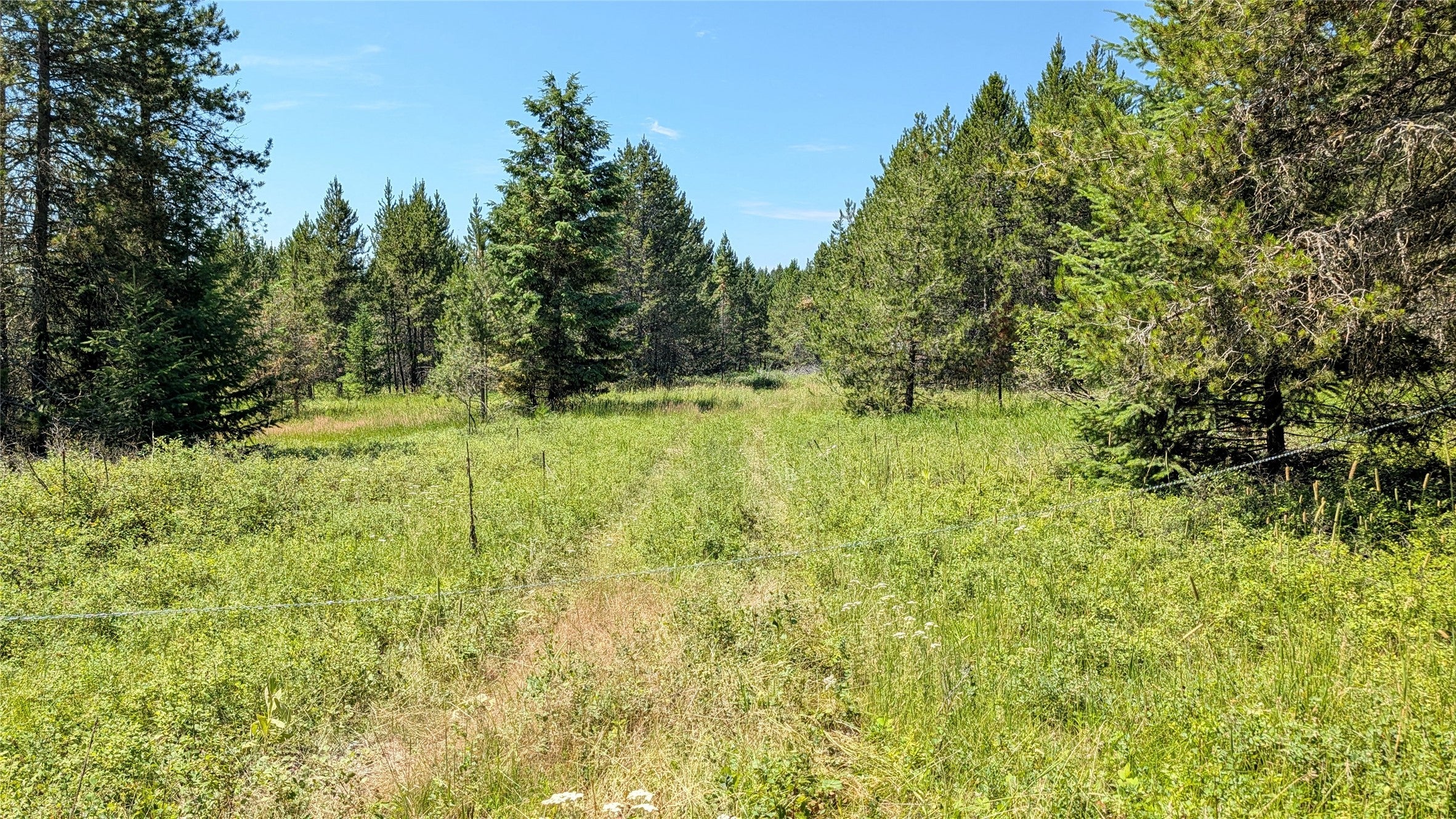 80 Wagon Wheel Road Whitefish, MT 59937 - Photo 13 of 33 Gallery Image 13