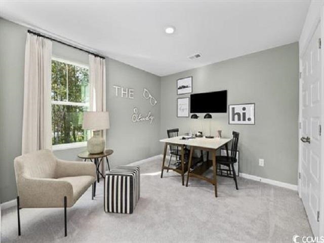 716 Locomotive Place Loris, SC 29569 - Photo 7 of 12