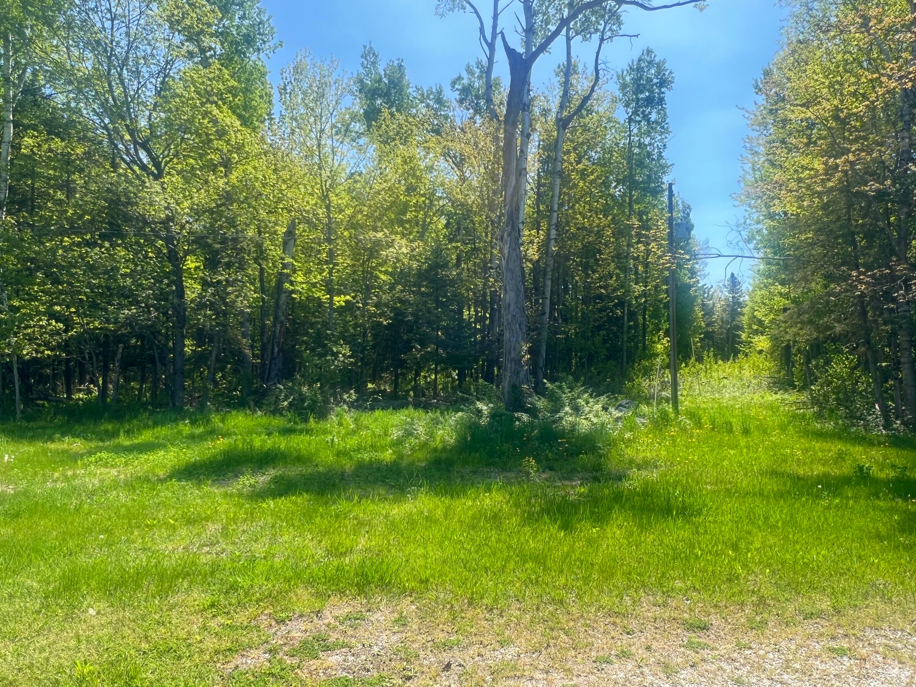 1020 West 20 Mile Road Dafter, MI 49724 - Photo 26 of 33 Gallery Image 26