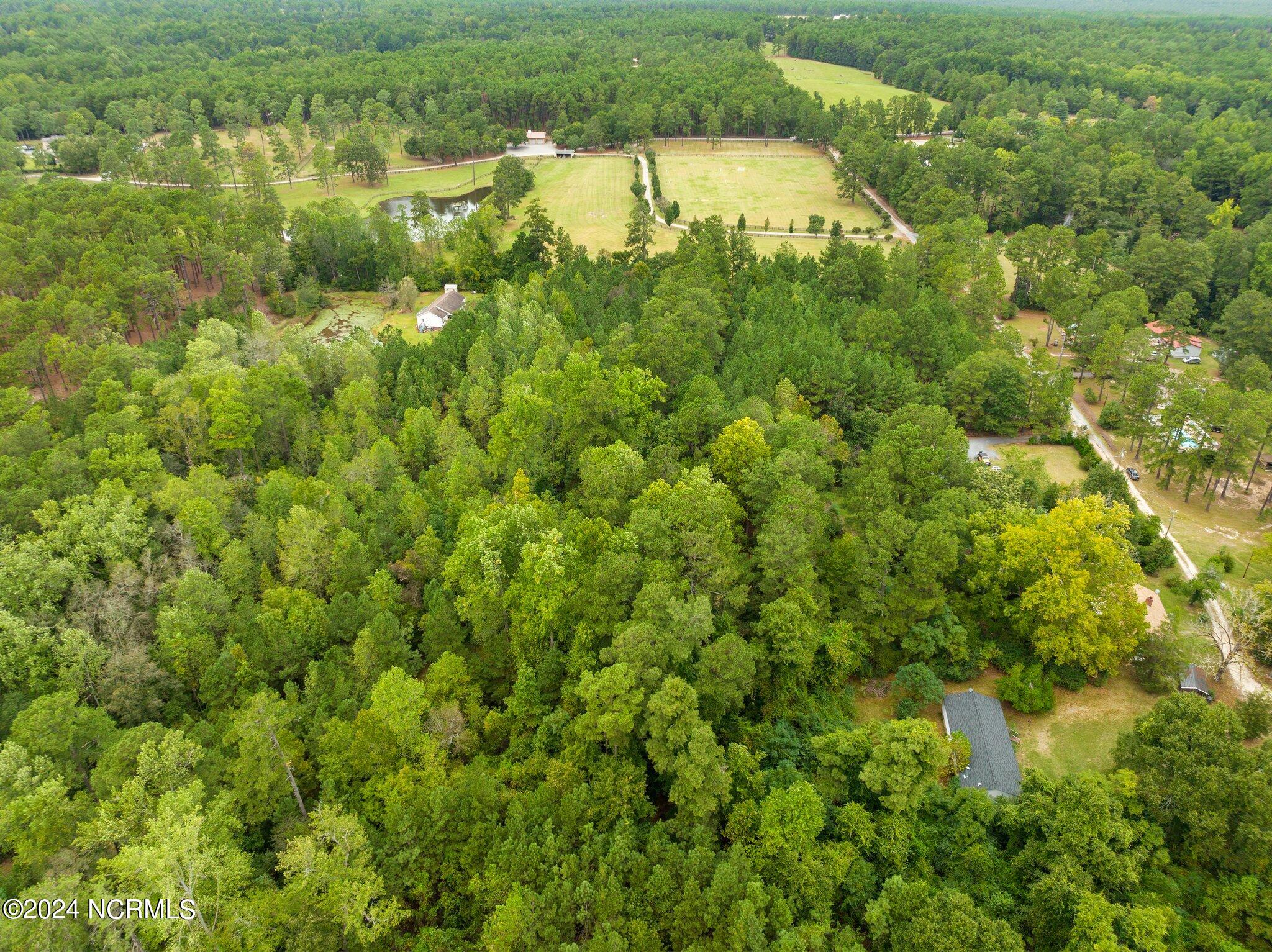 1 Old Mail Road Southern Pines, NC 28387 - Photo 11 of 14 10-web-or-mls-DJI_0085