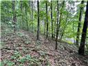 Tbd Rhea Road, Unit 23 Mountain City, TN 37683 - Photo 5 of 9 tn5