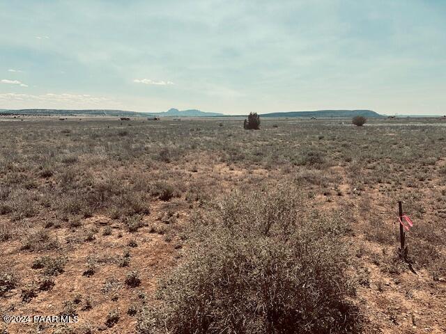 28551 West Hondo Road Seligman, AZ 86337 - Photo 4 of 5 a view of a dry field with trees in background