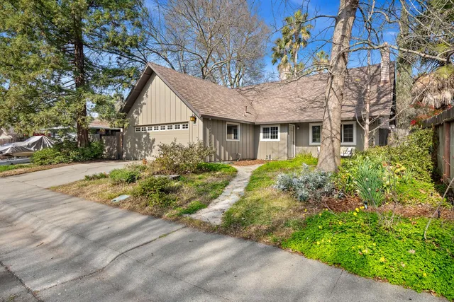 a view of a house with a small yard plants and large tree