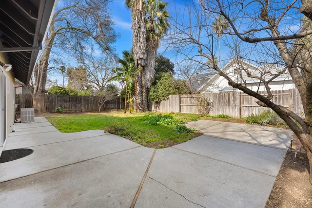 a view of yard with tree