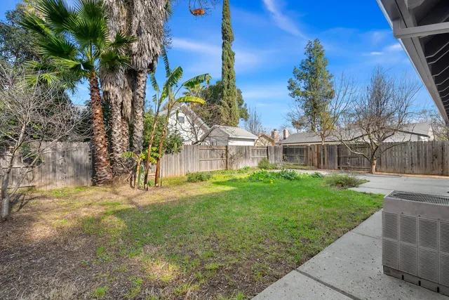 a view of a yard with plants and trees