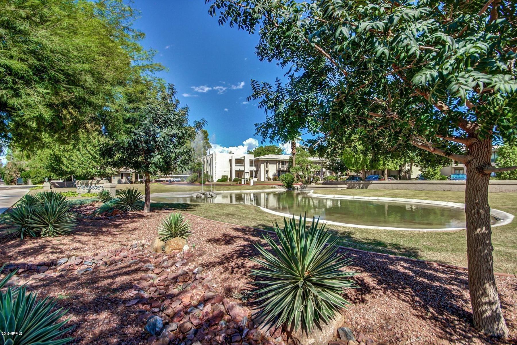 5213 North 24th Street, Unit 103 Phoenix, AZ 85016 - Photo 20 of 22 20190205023019185993000000-o (002)