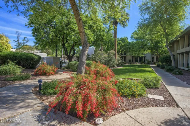 $4,495 | 5213 North 24th Street, Unit 103, Phoenix, AZ 85016