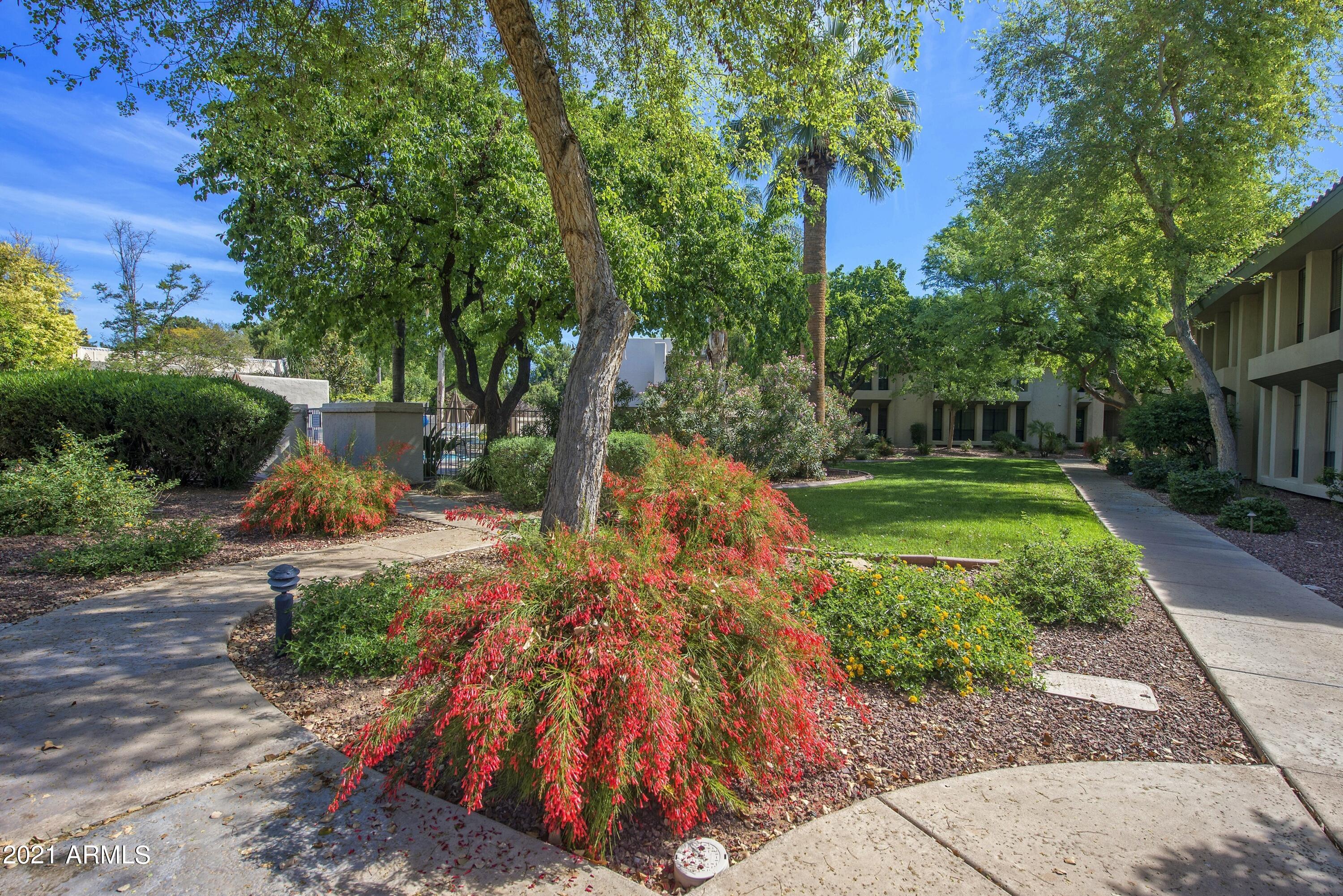 5213 North 24th Street, Unit 103 Phoenix, AZ 85016 - Photo 22 of 22 003_Beautiful Manicured Grounds