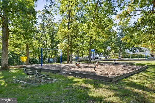 a view of a park with large trees