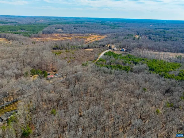 a view of a garden with a pathway