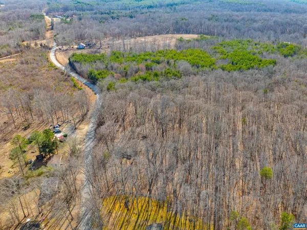 a view of a yard with plants