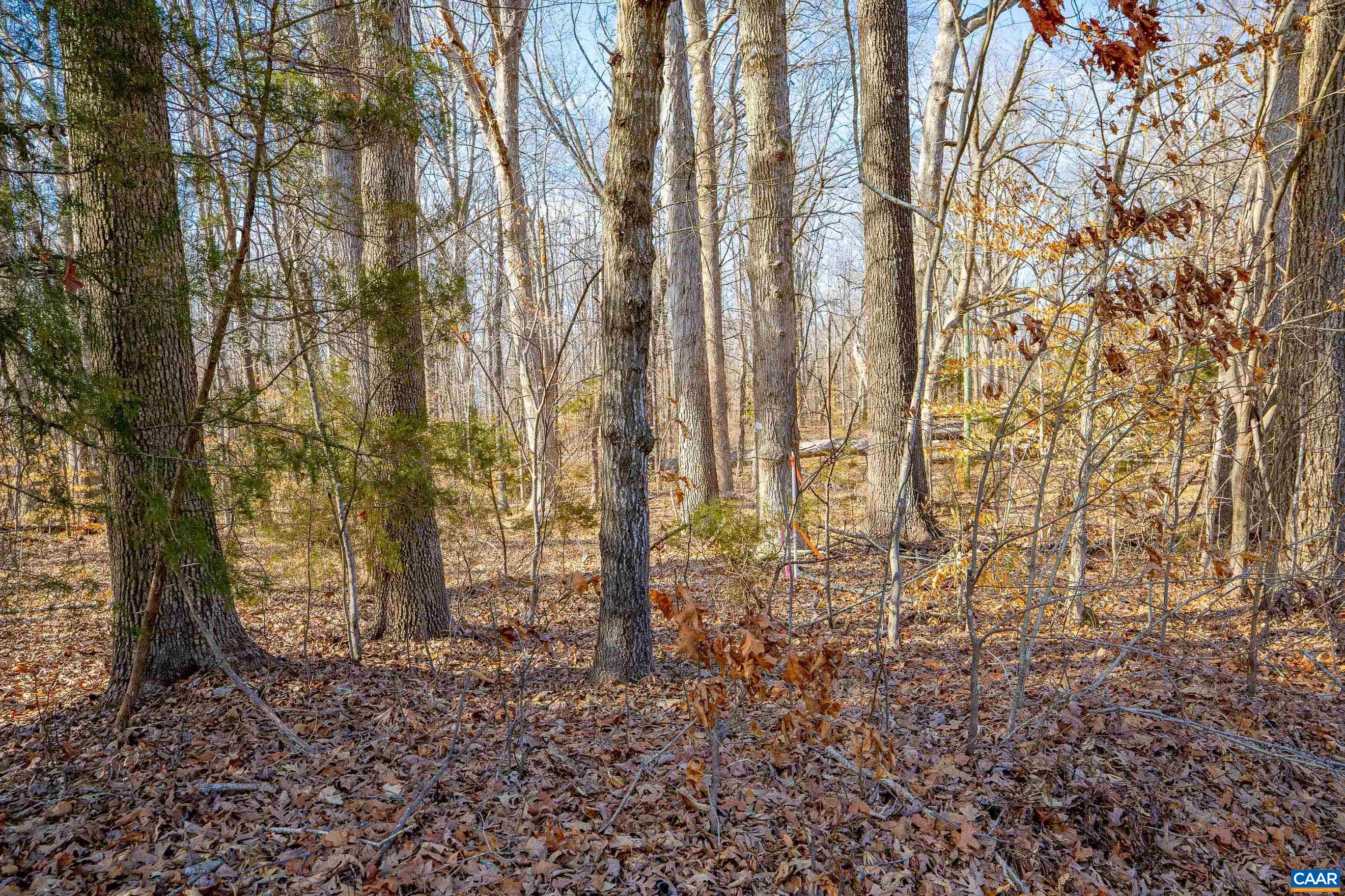 3335 A Redd Shop Road Farmville, VA 23901 - Photo 2 of 22