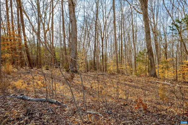 a view of a backyard of the house