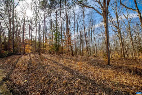 a view of backyard with trees