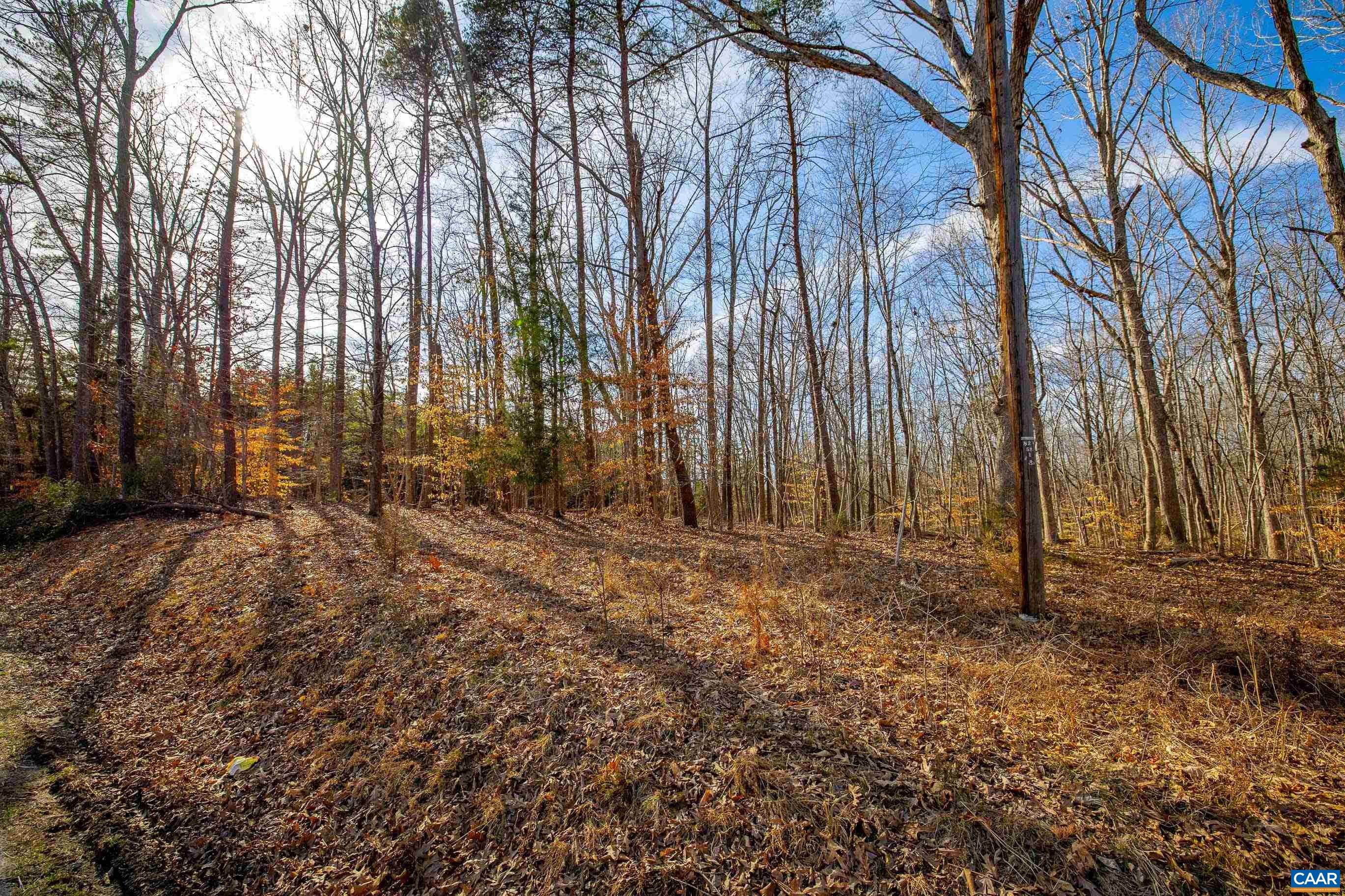 3335 A Redd Shop Road Farmville, VA 23901 - Photo 5 of 22