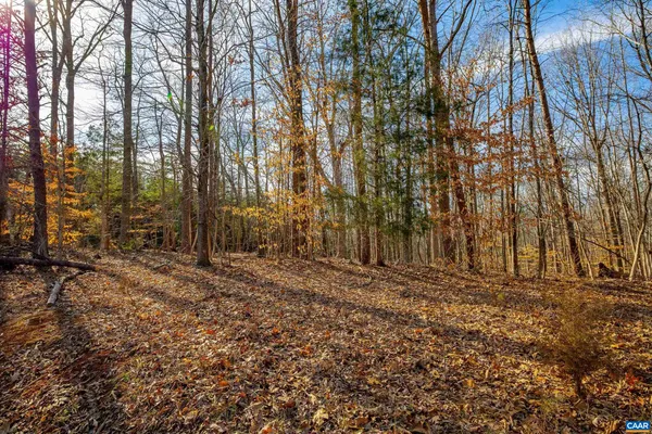 a view of a pathway with a yard