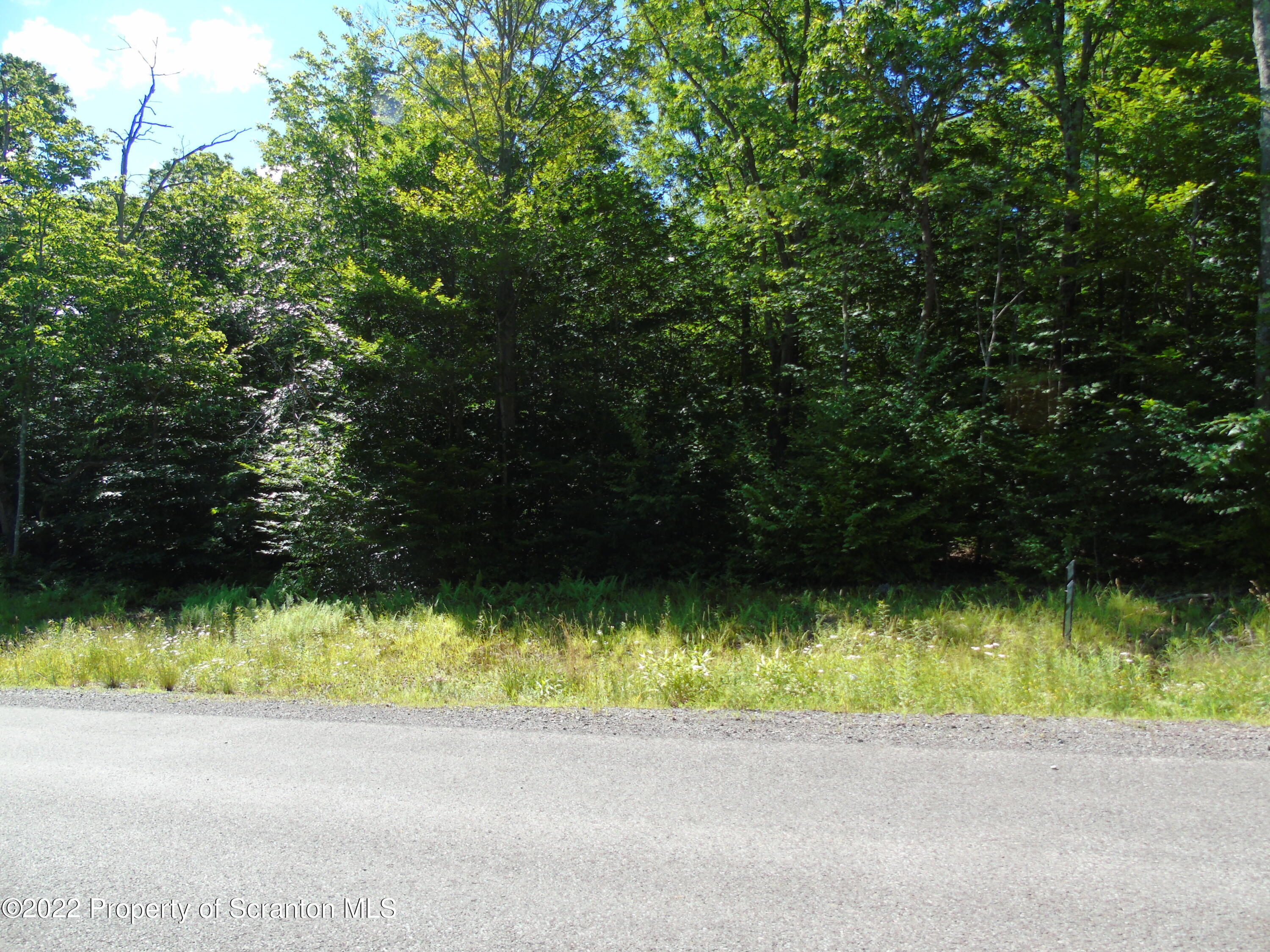 155 Summit Woods Road Moscow, PA 18444 - Photo 8 of 10 DSC01197