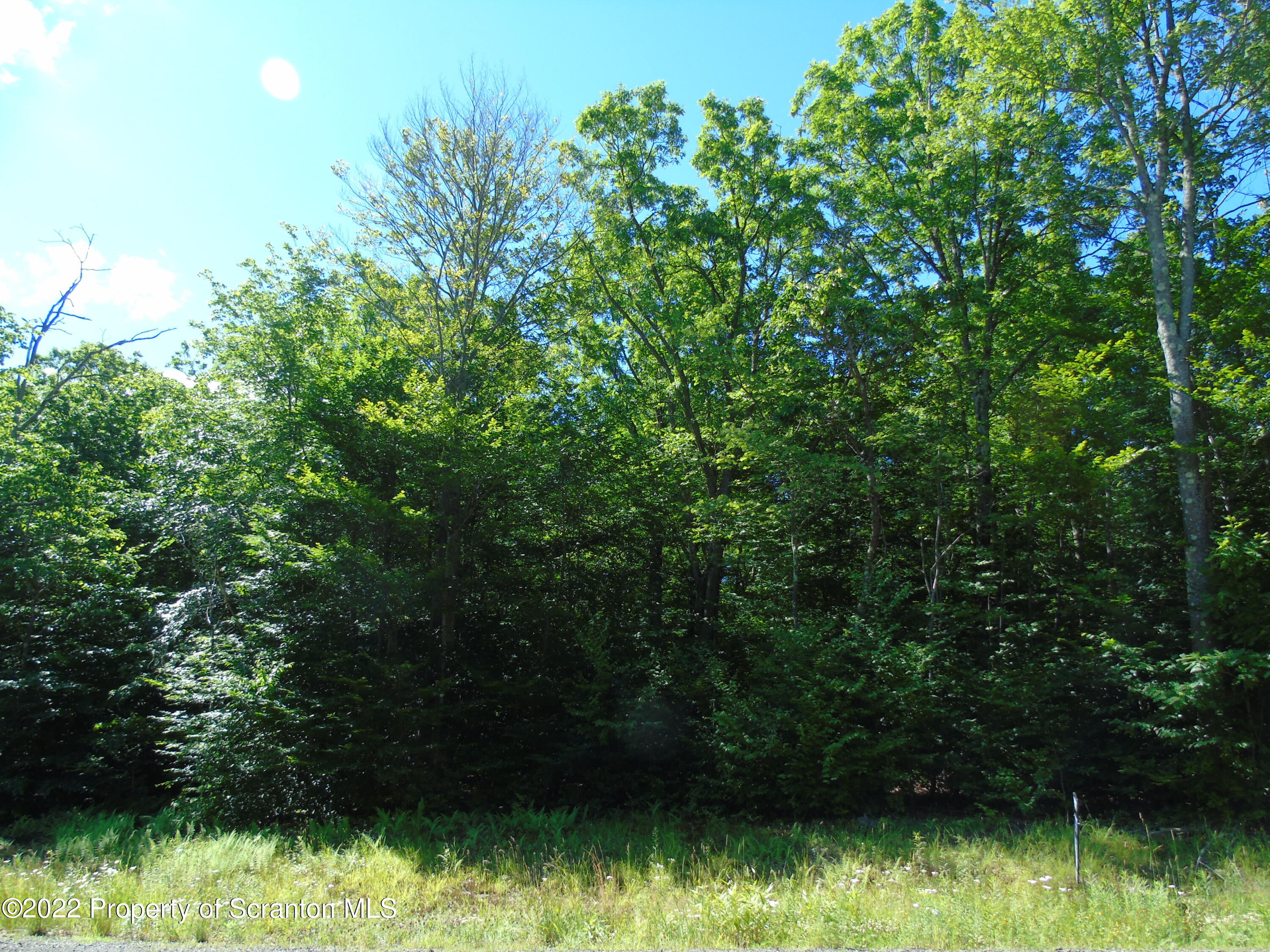 155 Summit Woods Road Moscow, PA 18444 - Photo 10 of 10 DSC01199