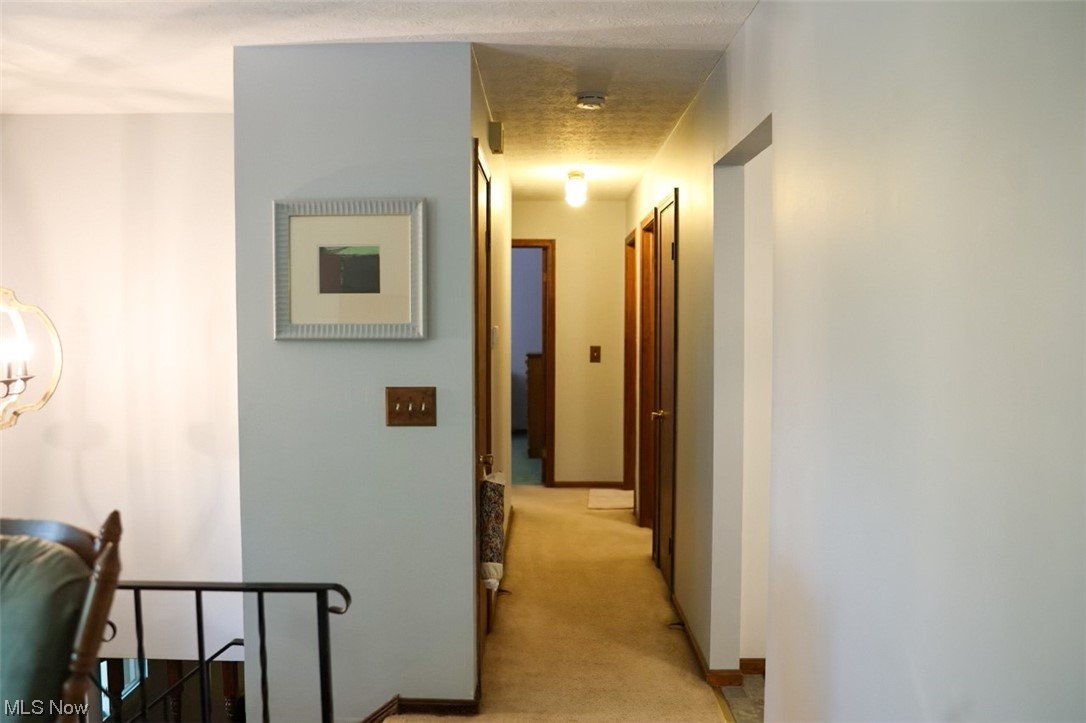10686 Prouty Road Painesville, OH 44077 - Photo 10 of 27 hallway to bedrooms