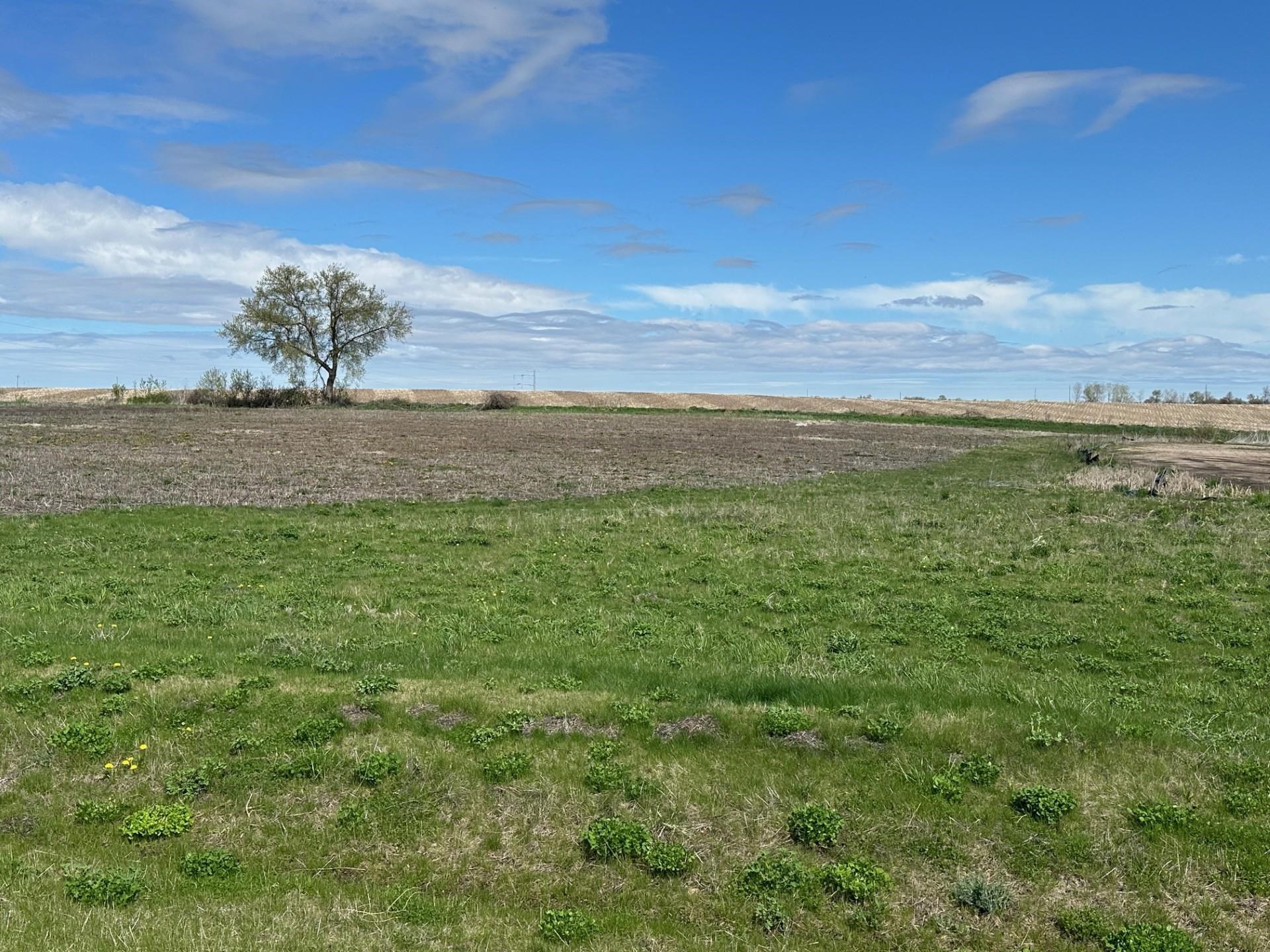 Lot 2 Quality Fall River Fall River, WI 53932 - Photo 1 of 1 Gallery Image 1