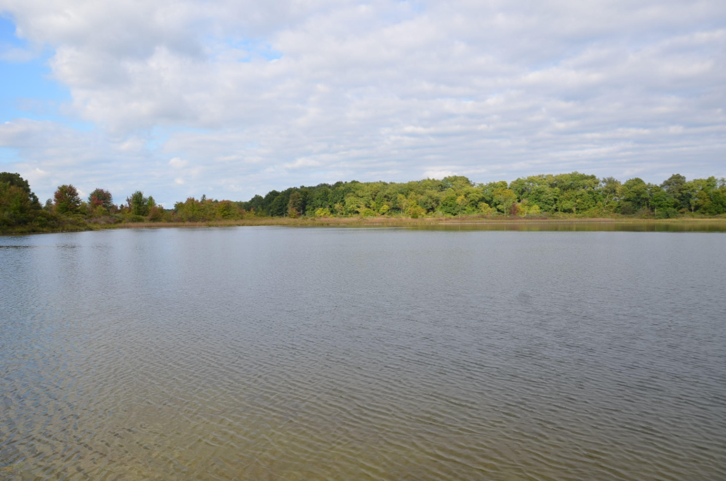 Greenfield Road Bronson, MI 49028 - Photo 1 of 14 DSC_2929
