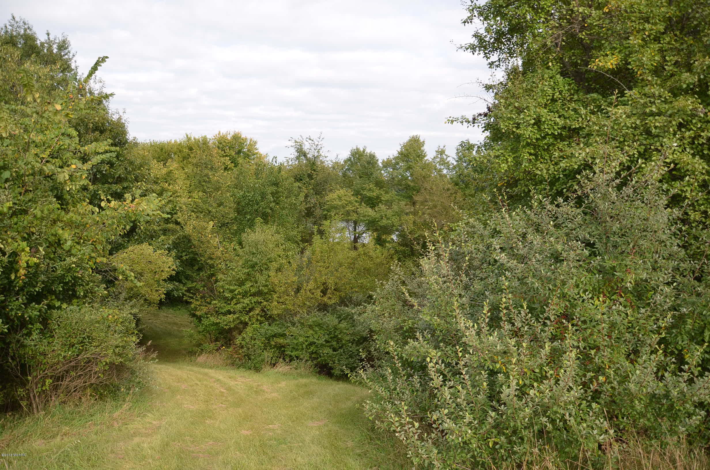 Greenfield Road Bronson, MI 49028 - Photo 5 of 14 DSC_2925