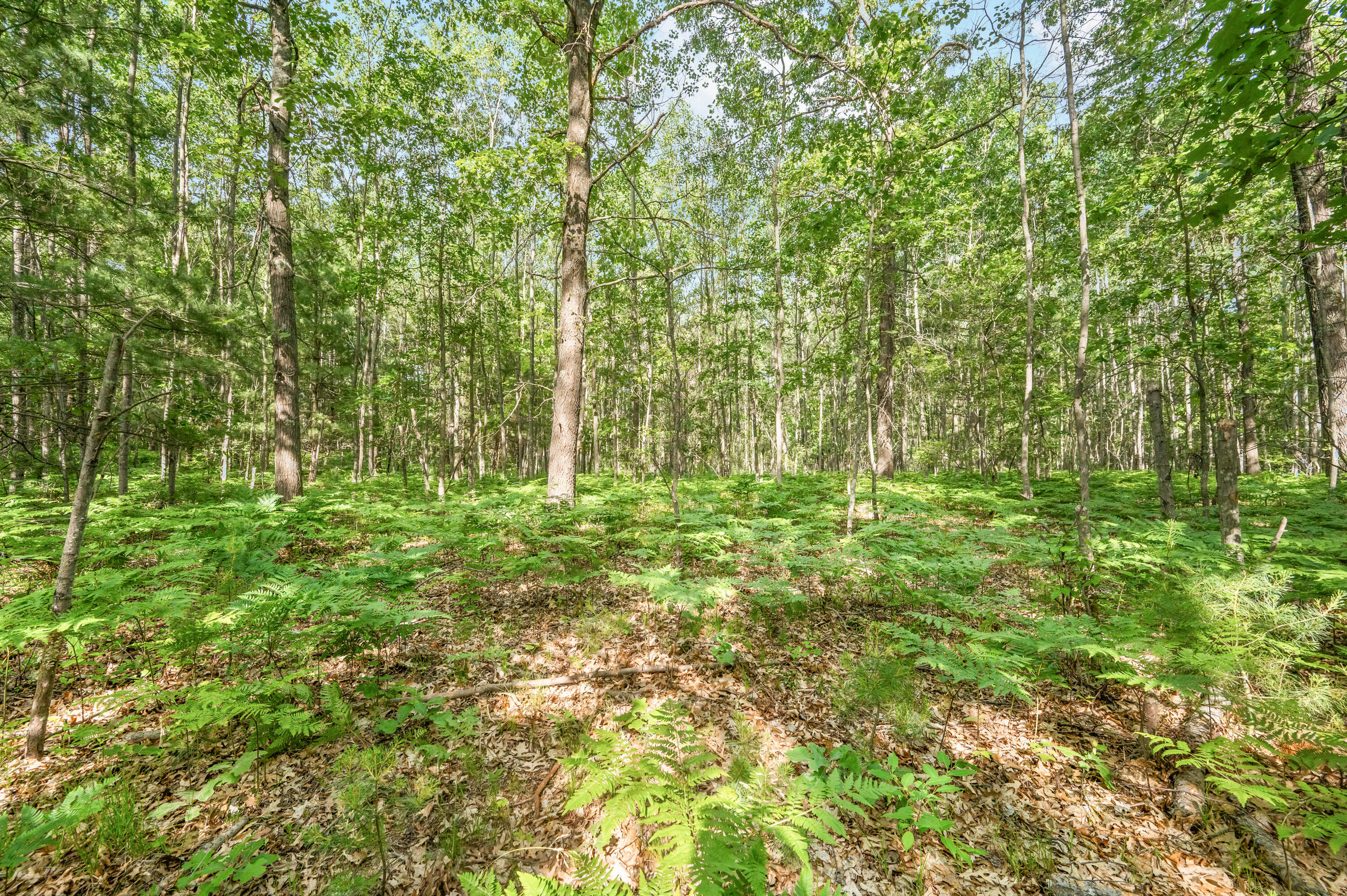 8642 East Kinney Road Branch, MI 49402 - Photo 22 of 32 8642-EKinneyRd-Branch-23