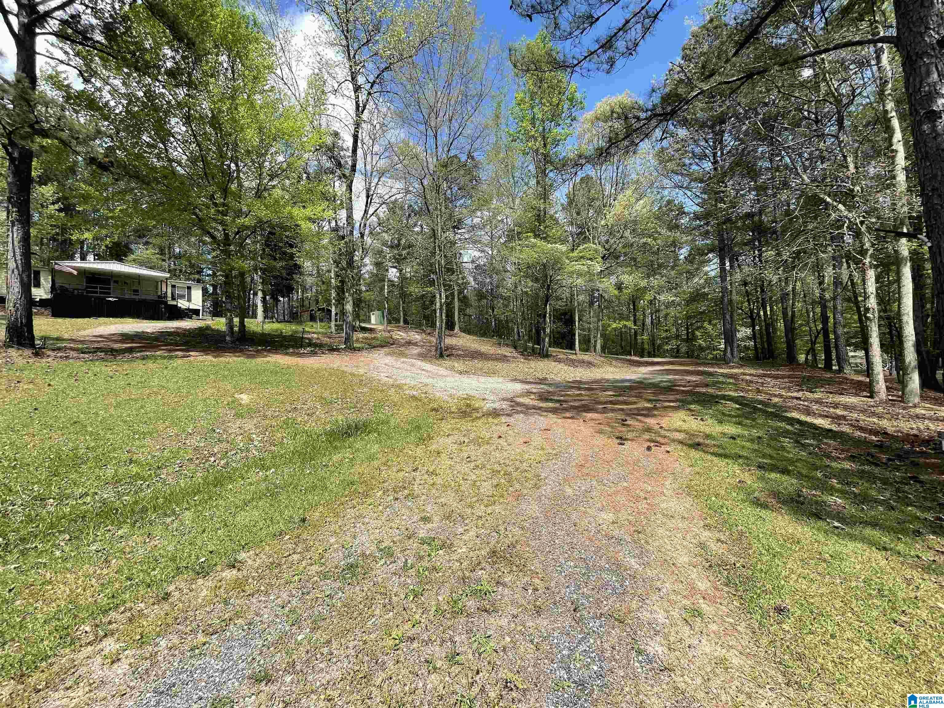 410 Waldrop Road Ashville, AL 35953 - Photo 3 of 15