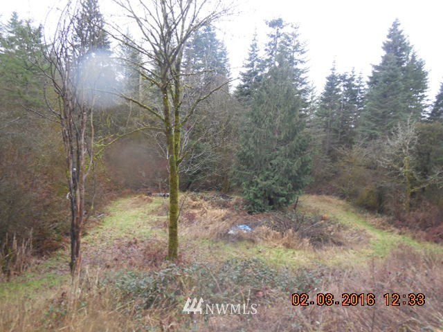 12545 170th Avenue Southwest Rochester, WA 98579 - Photo 17 of 17