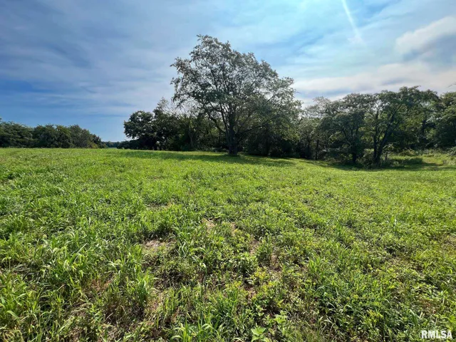 $160,000 | Rr North 1800th Road, Blandinsville, IL 61420