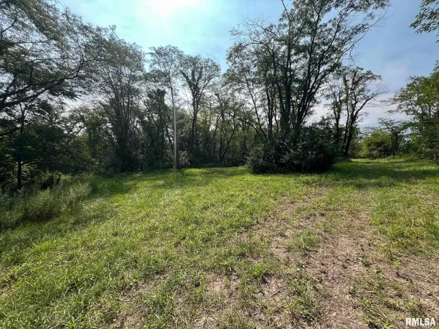 $160,000 | Rr North 1800th Road, Blandinsville, IL 61420