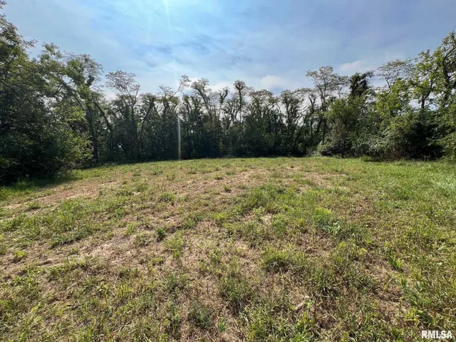 $160,000 | Rr North 1800th Road, Blandinsville, IL 61420