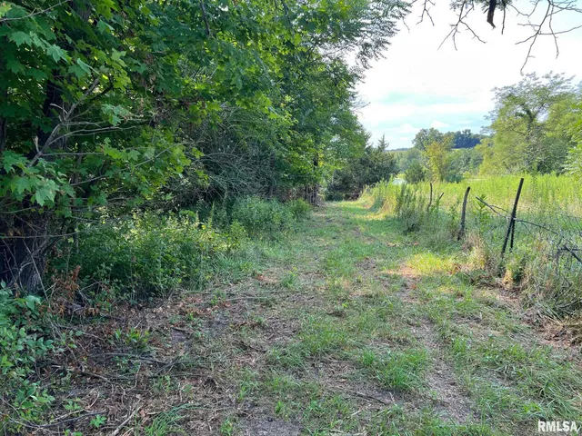 $160,000 | Rr North 1800th Road, Blandinsville, IL 61420