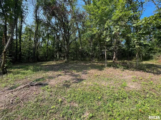 $160,000 | Rr North 1800th Road, Blandinsville, IL 61420