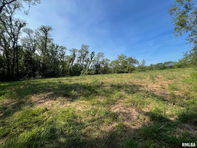 $160,000 | Rr North 1800th Road, Blandinsville, IL 61420