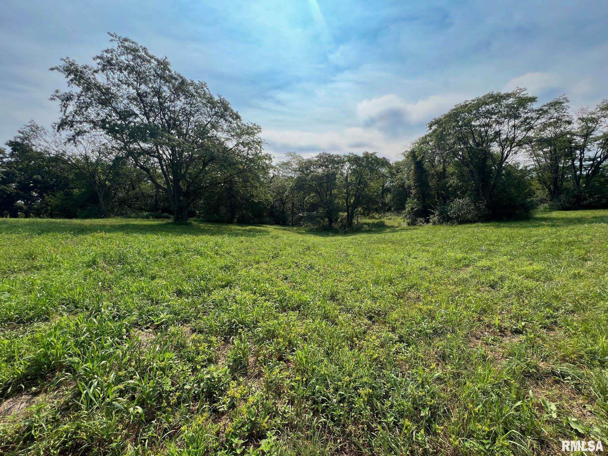 Rr North 1800th Road Blandinsville, IL 61420 - Photo 10 of 10