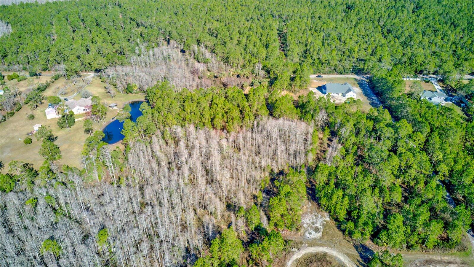 0 Rodeo Acres Drive Ormond Beach, FL 32174 - Photo 3 of 20 a backyard of a house with lots of green space