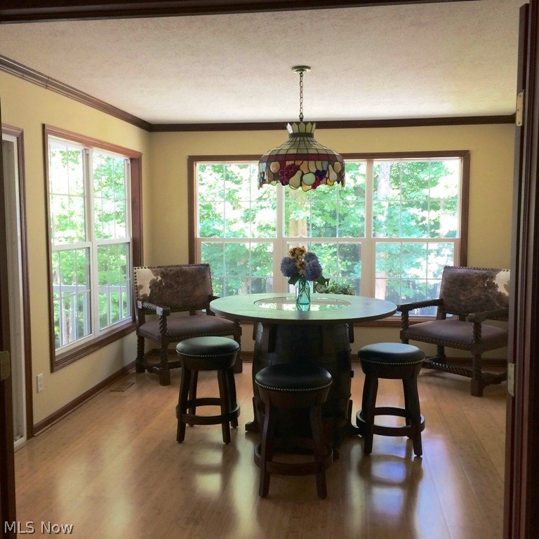 6812 Van Buren Road Clinton, OH 44216 - Photo 6 of 32 Gallery Image 6