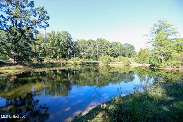 $360,000 | 1153 Owens Road, Terry, MS 39170