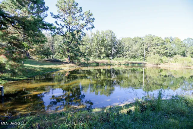 $360,000 | 1153 Owens Road, Terry, MS 39170