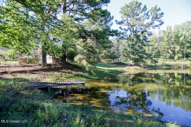 $360,000 | 1153 Owens Road, Terry, MS 39170