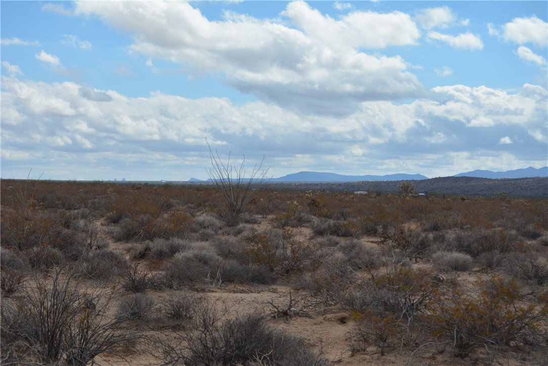 207-35-005 South Arlington Road Yucca, AZ 86438 - Photo 50 of 92