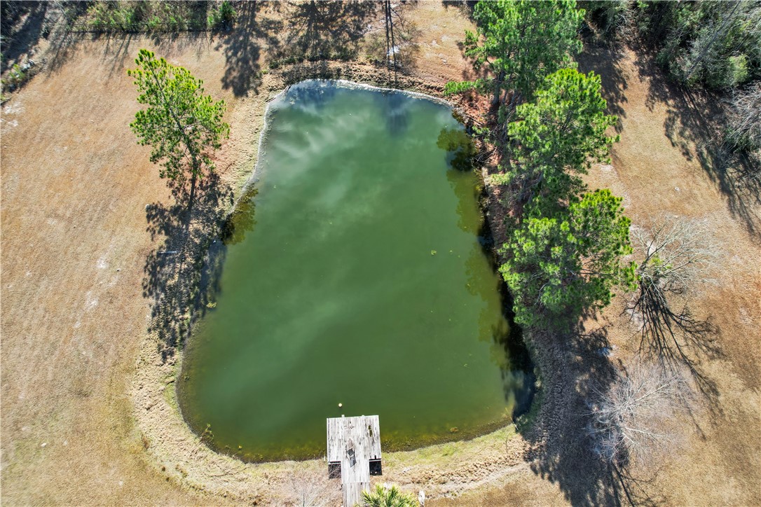 223 Hardy Johnson Road Fargo, GA 31631 - Photo 14 of 86