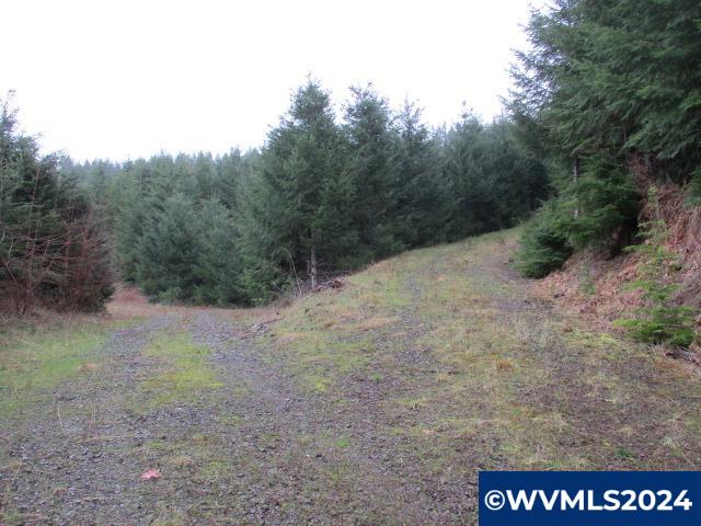 0 Rocky Top Road Sweet Home, OR 97386 - Photo 11 of 14