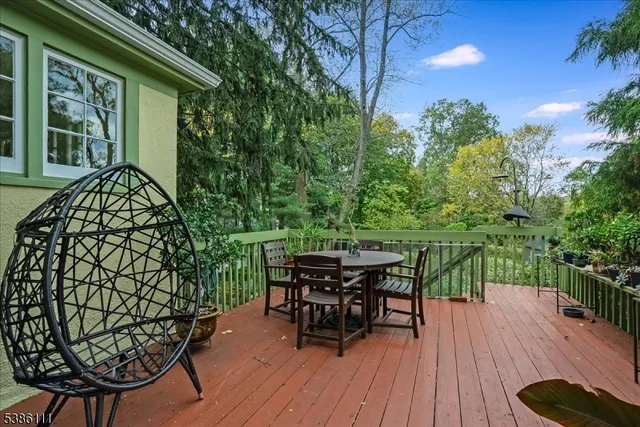a view of a garden with plants